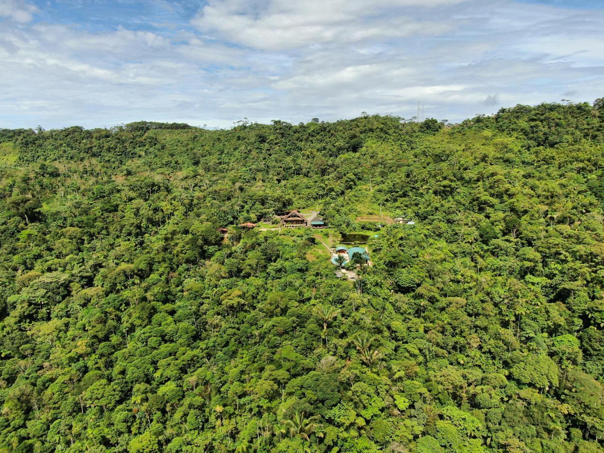 Heimatlos Amazon Lodge Puyo Buitenkant foto